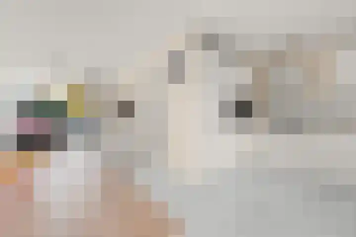 Dalenoord 31 Rotterdam thumbnail 13