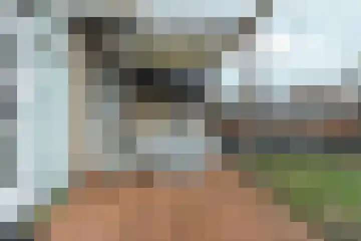 Dalenoord 31 Rotterdam thumbnail 43