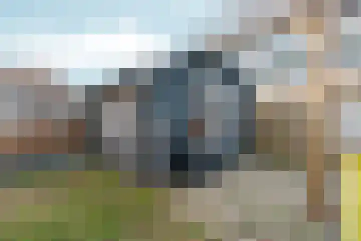 Dalenoord 31 Rotterdam thumbnail 44