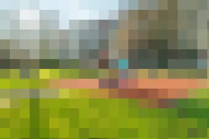 Dalenoord 31 Rotterdam thumbnail 48