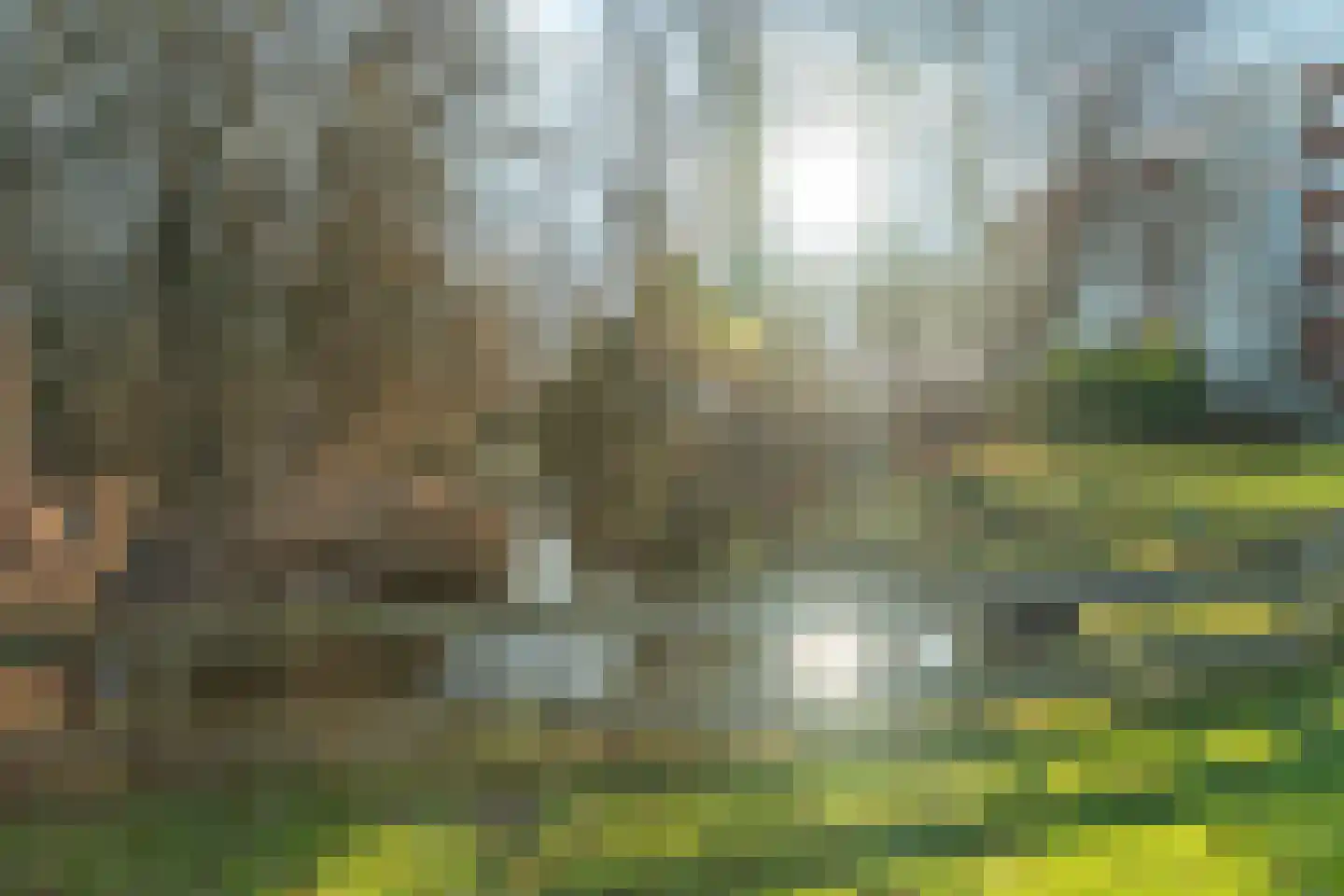 Dalenoord 31 Rotterdam thumbnail 49