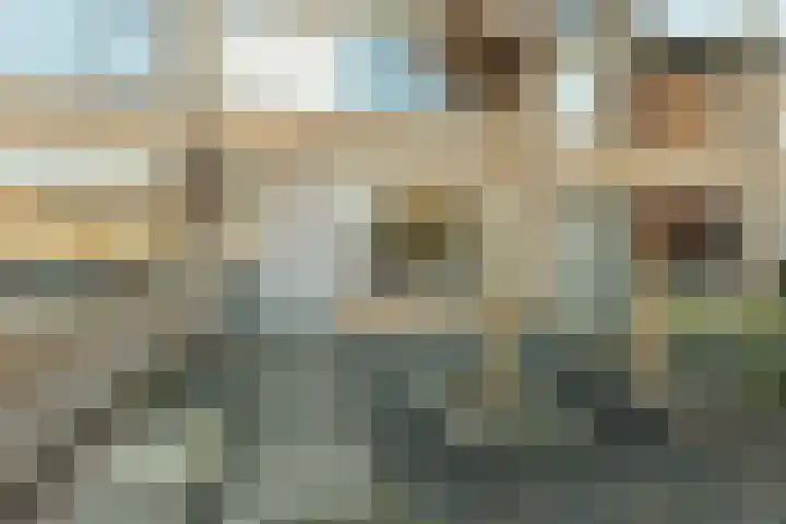 Dalenoord 31 Rotterdam thumbnail 51