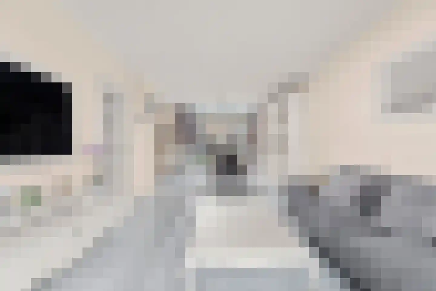 Dalenoord 31 Rotterdam thumbnail 8