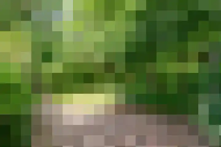 Dalenoord 48 Rotterdam thumbnail 19