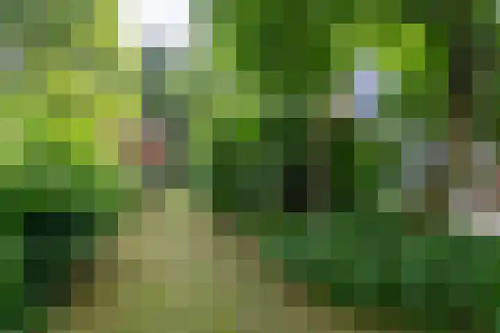 Dalenoord 48 Rotterdam thumbnail 21