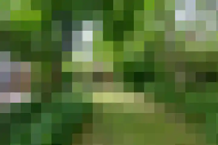 Dalenoord 48 Rotterdam thumbnail 22
