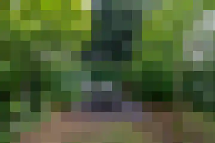 Dalenoord 48 Rotterdam thumbnail 23