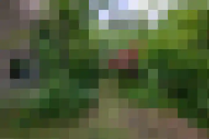Dalenoord 48 Rotterdam thumbnail 24
