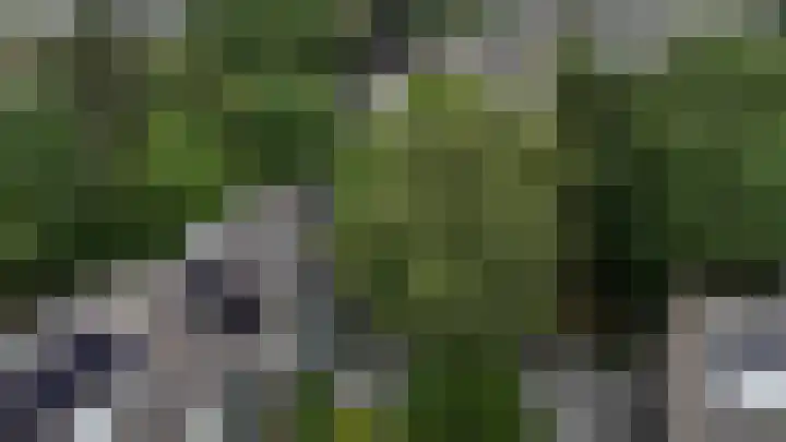Dalenoord 48 Rotterdam thumbnail 40