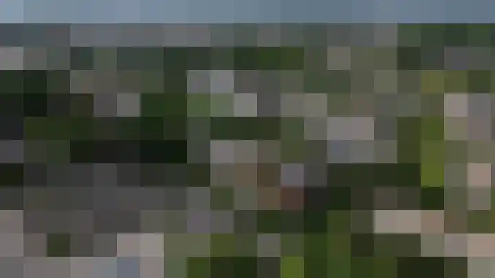 Dalenoord 48 Rotterdam thumbnail 42