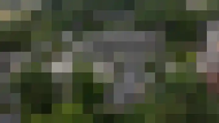 Dalenoord 48 Rotterdam thumbnail 47