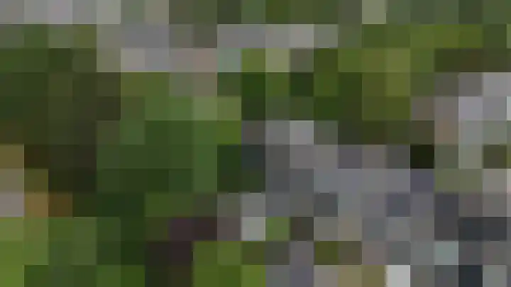 Dalenoord 48 Rotterdam thumbnail 48