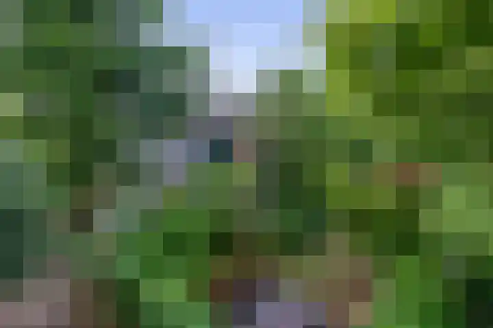Dalenoord 48 Rotterdam thumbnail 6