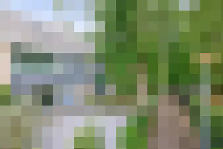 Dalenoord 48 Rotterdam thumbnail 8