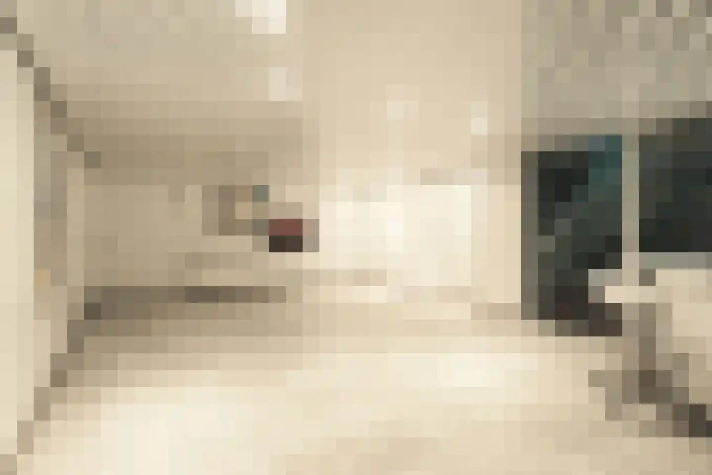 Dalenoord 76 Rotterdam thumbnail 31
