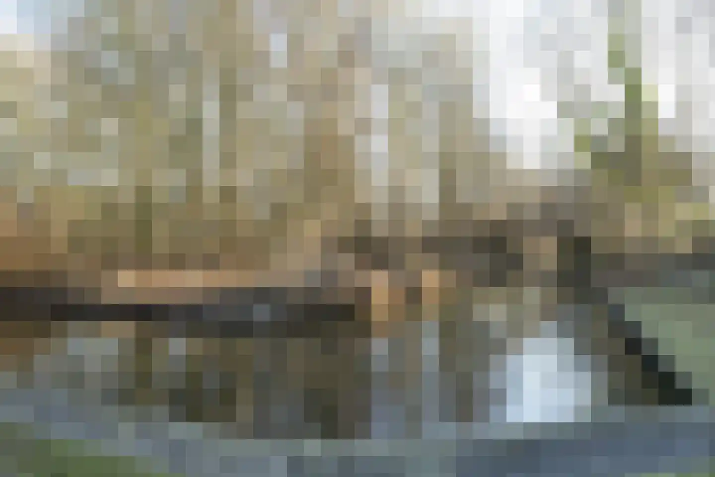 Dalenoord 76 Rotterdam thumbnail 49