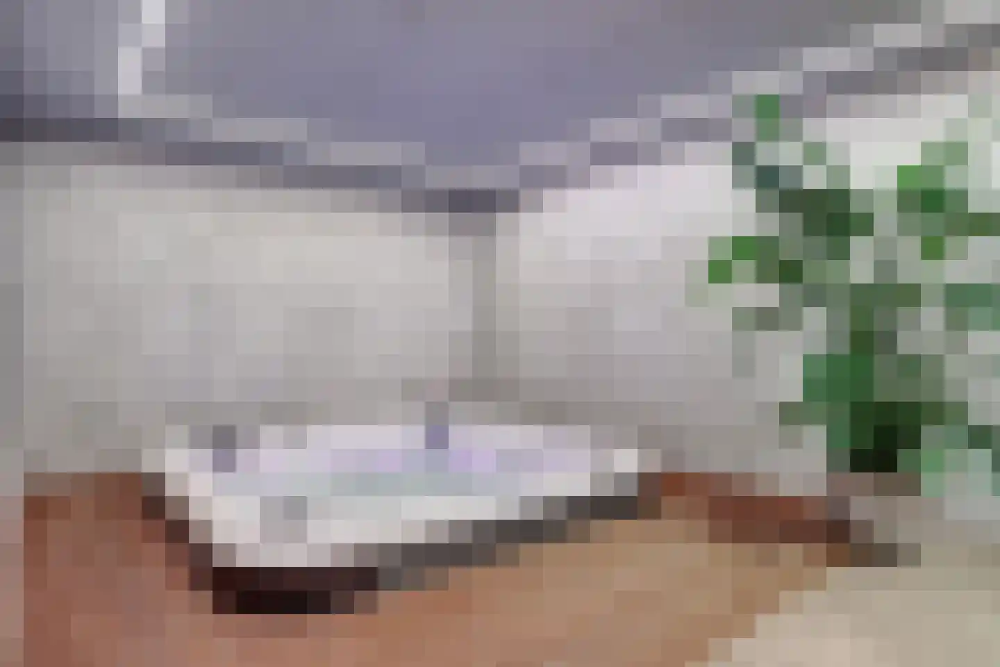 Dalenoord 78 Rotterdam thumbnail 51