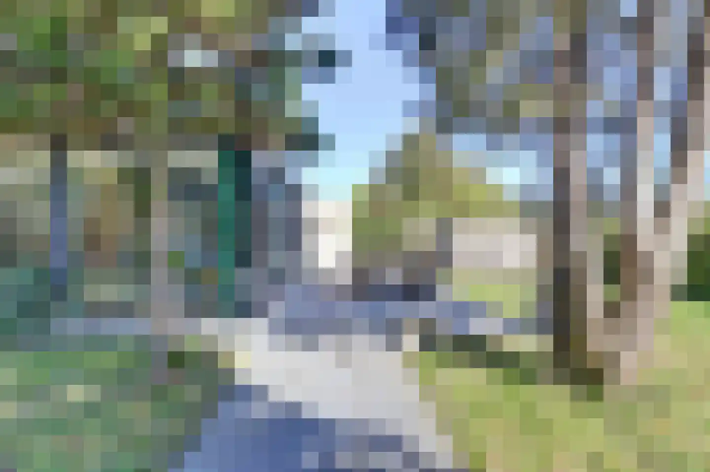 Dalenoord 78 Rotterdam thumbnail 68