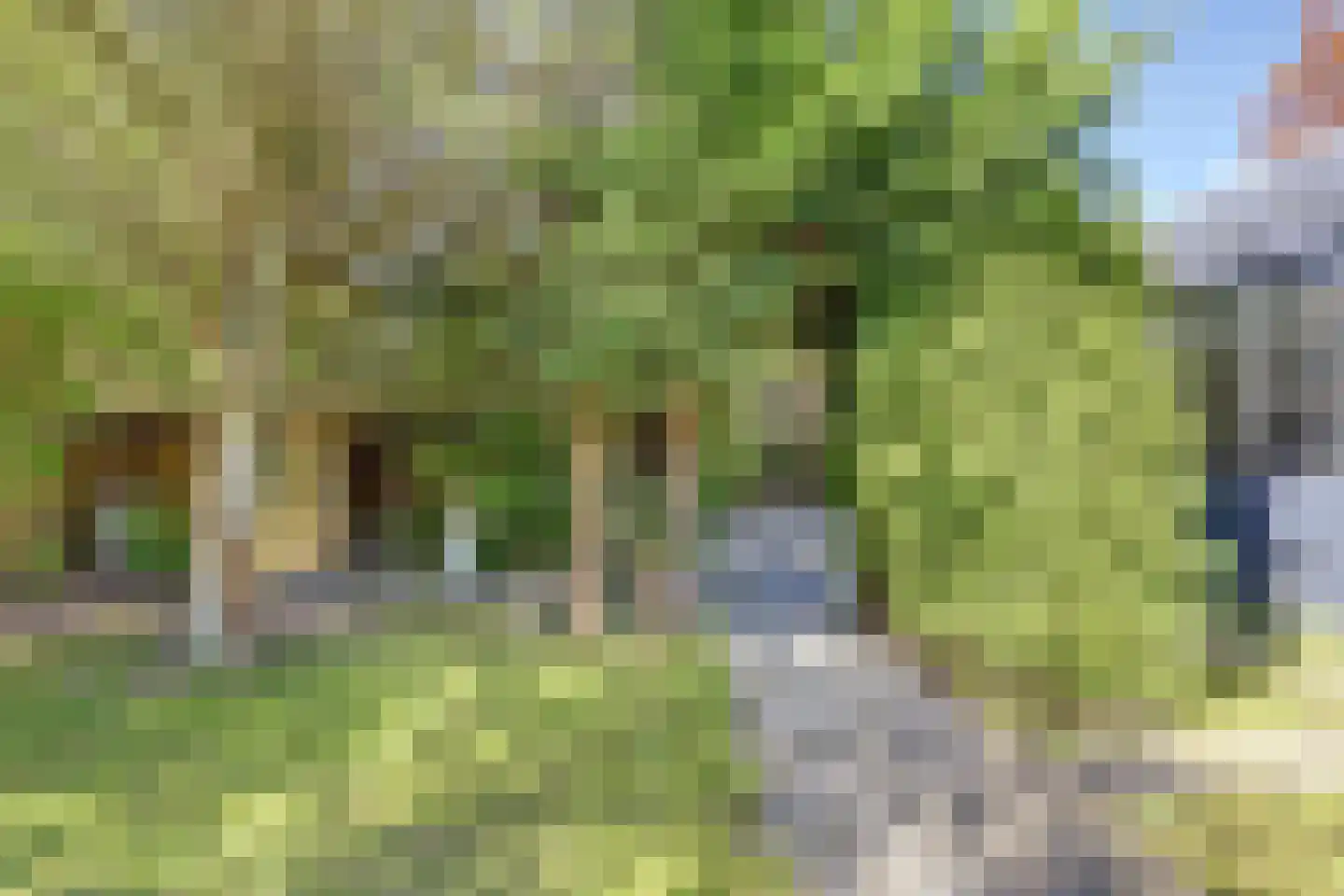 Dalenoord 78 Rotterdam thumbnail 72