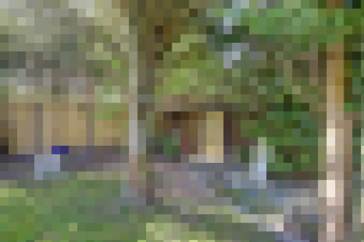 Dalenoord 78 Rotterdam thumbnail 80