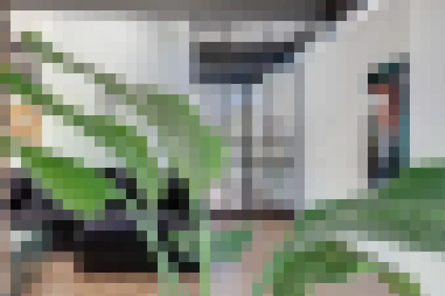 Dalenoord 78 Rotterdam thumbnail 9