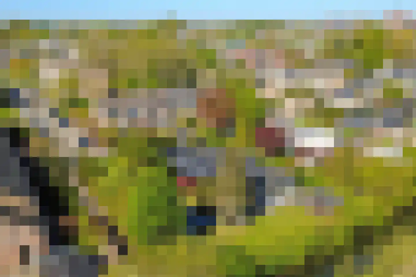 Dalenoord 78 Rotterdam thumbnail 91