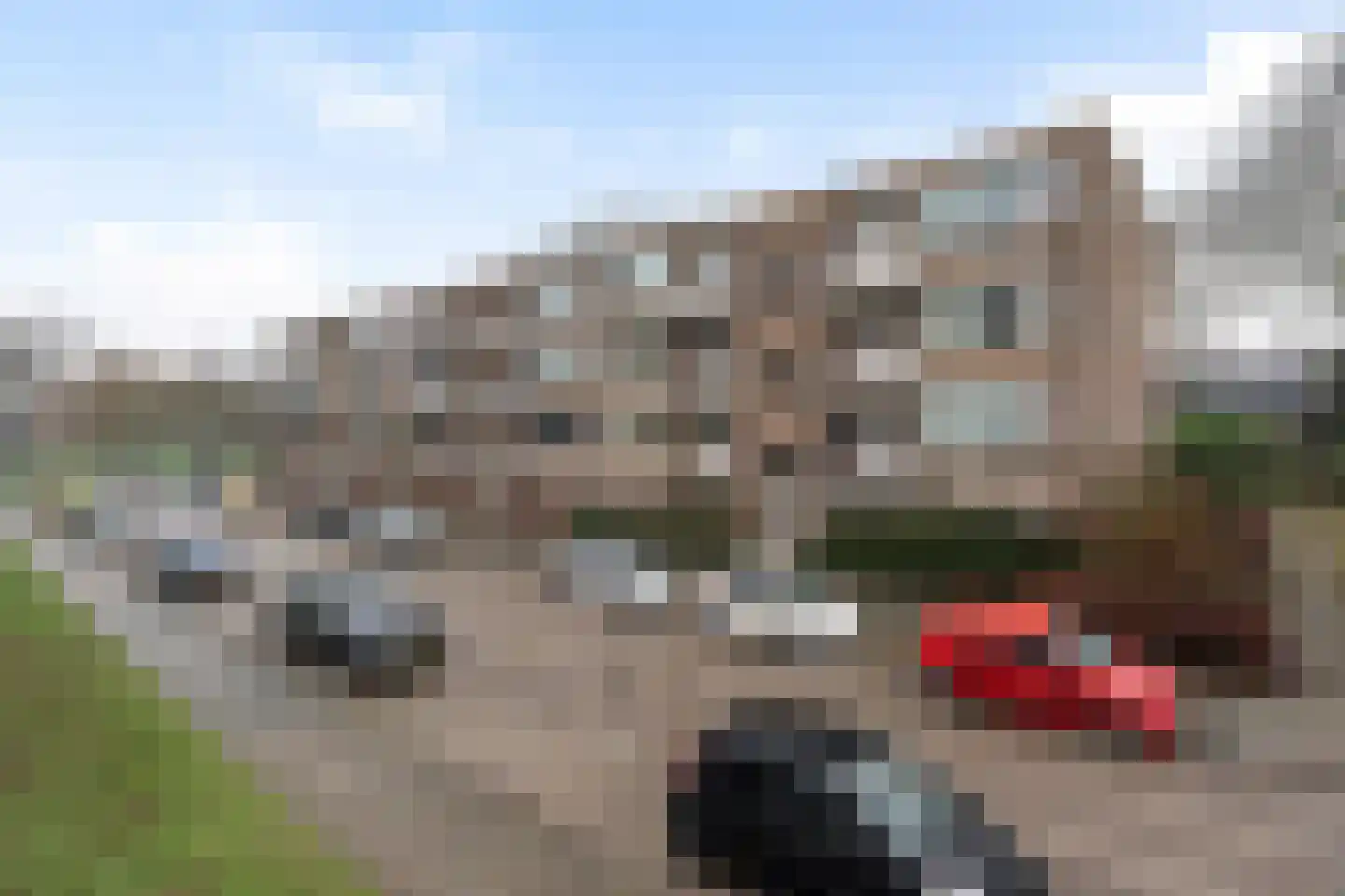 Dalenoord 91 Rotterdam