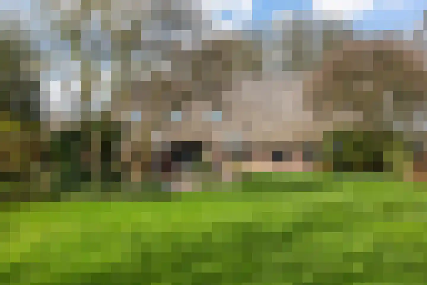 Dalerstraat 33 Erm thumbnail 10
