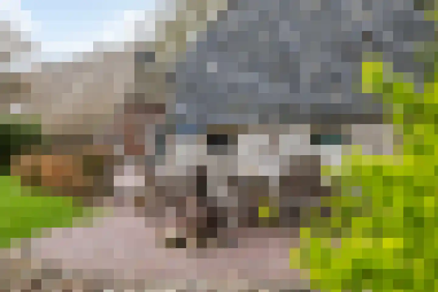 Dalerstraat 33 Erm thumbnail 14