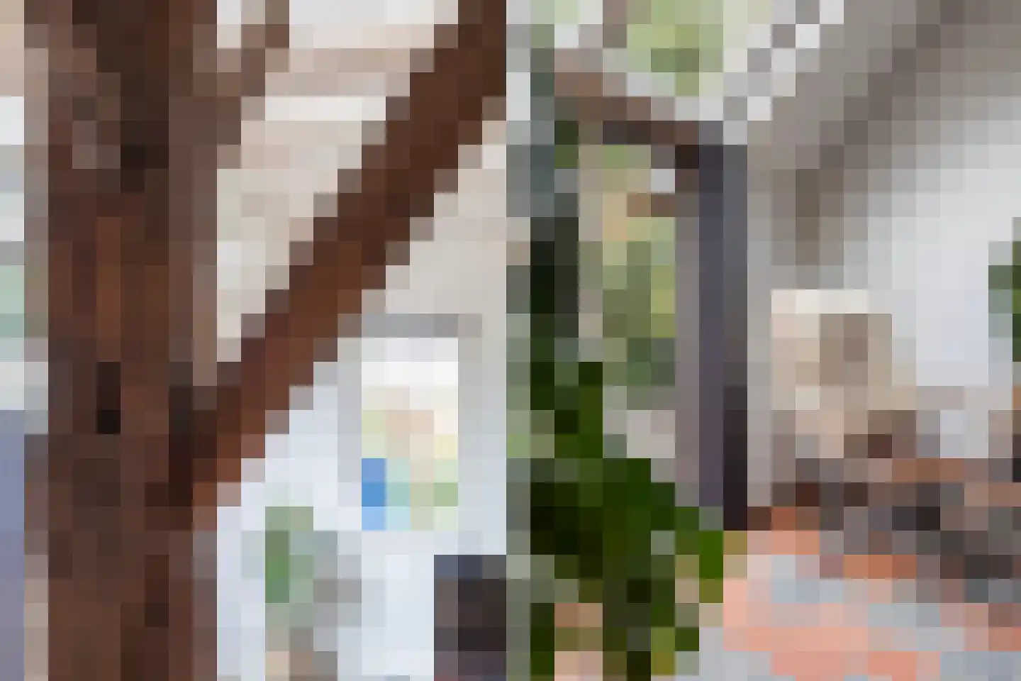 Dalerstraat 33 Erm thumbnail 28