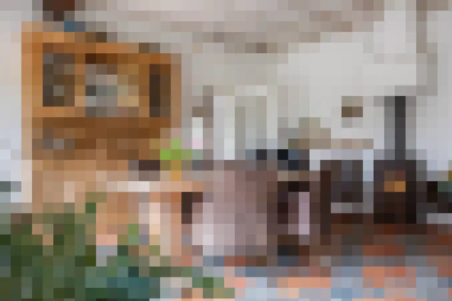Dalerstraat 33 Erm thumbnail 37