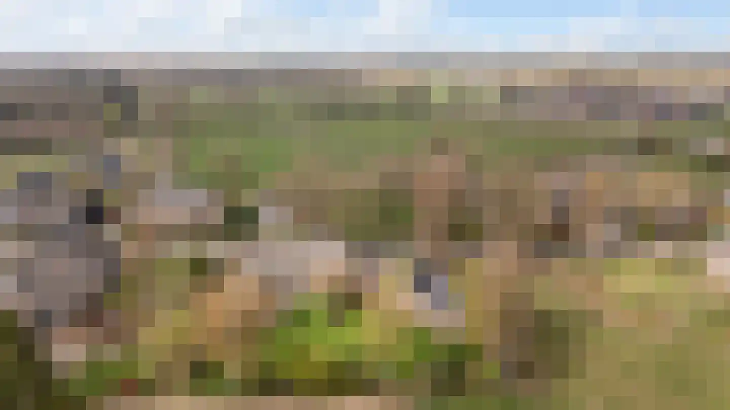 Dalerstraat 33 Erm thumbnail 4