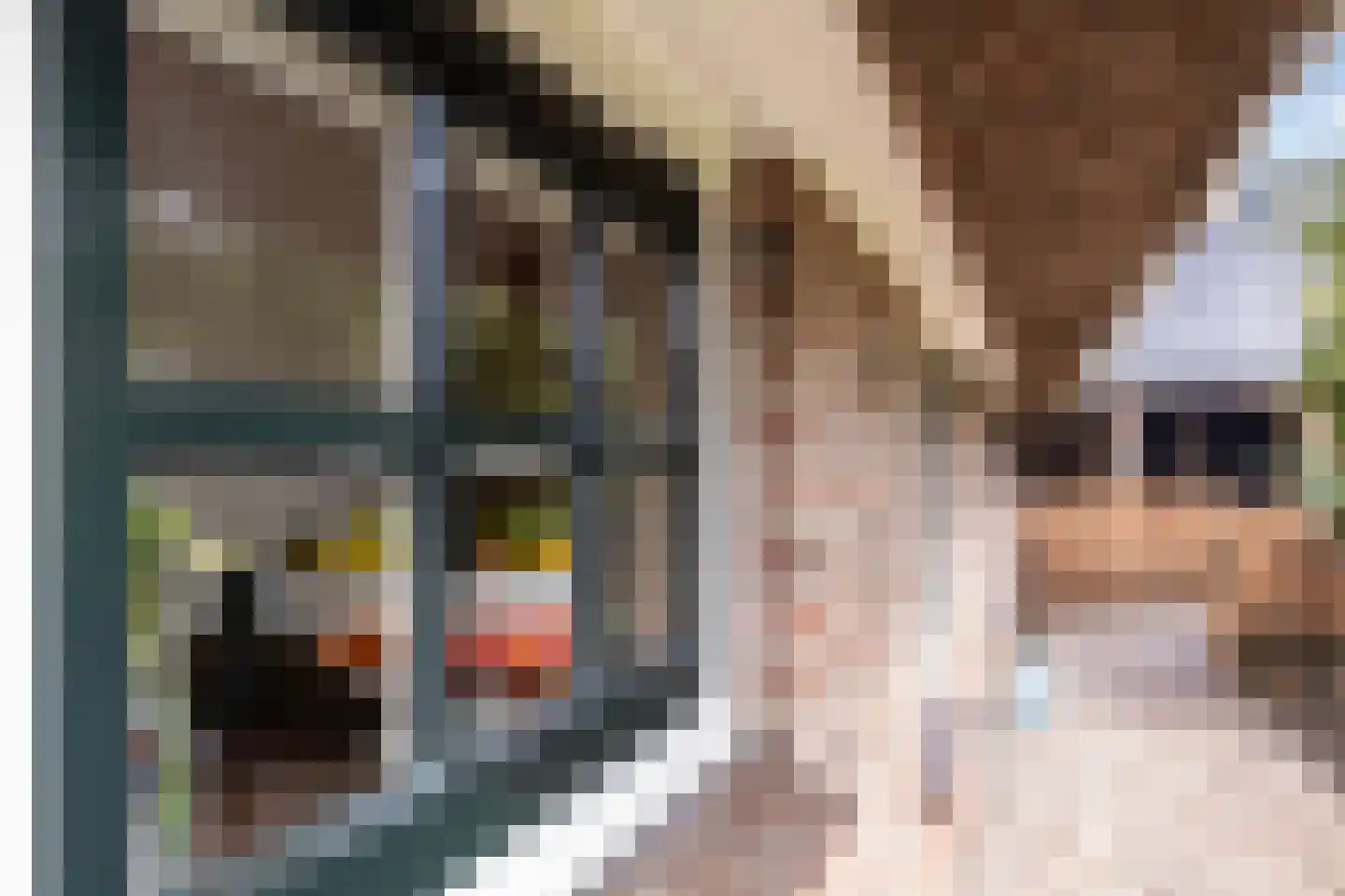 Dalerstraat 33 Erm thumbnail 42