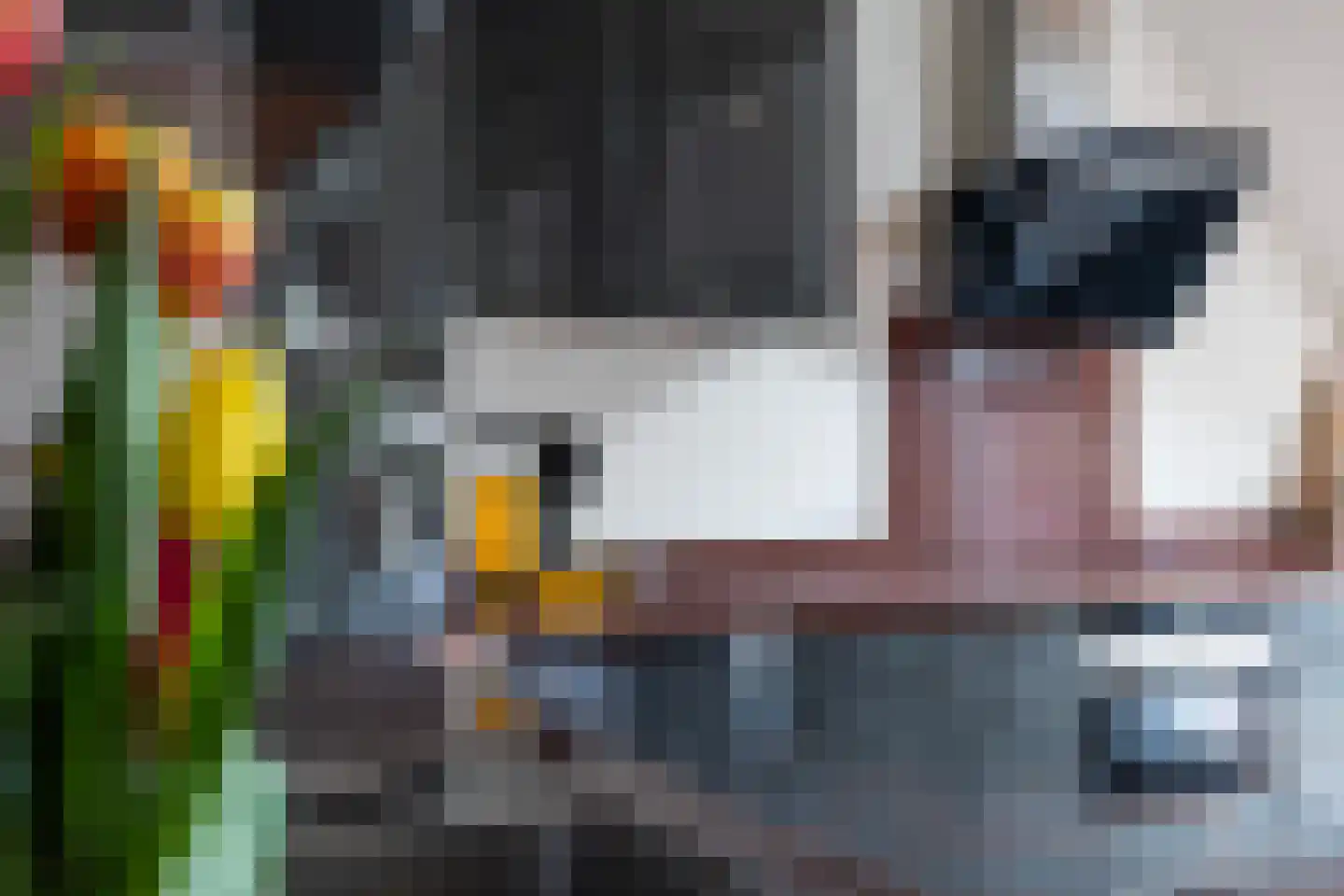 Dalerstraat 33 Erm thumbnail 44