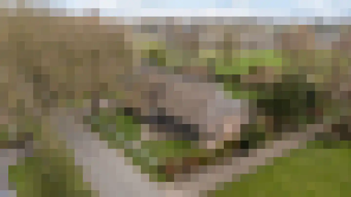 Dalerstraat 33 Erm thumbnail 5