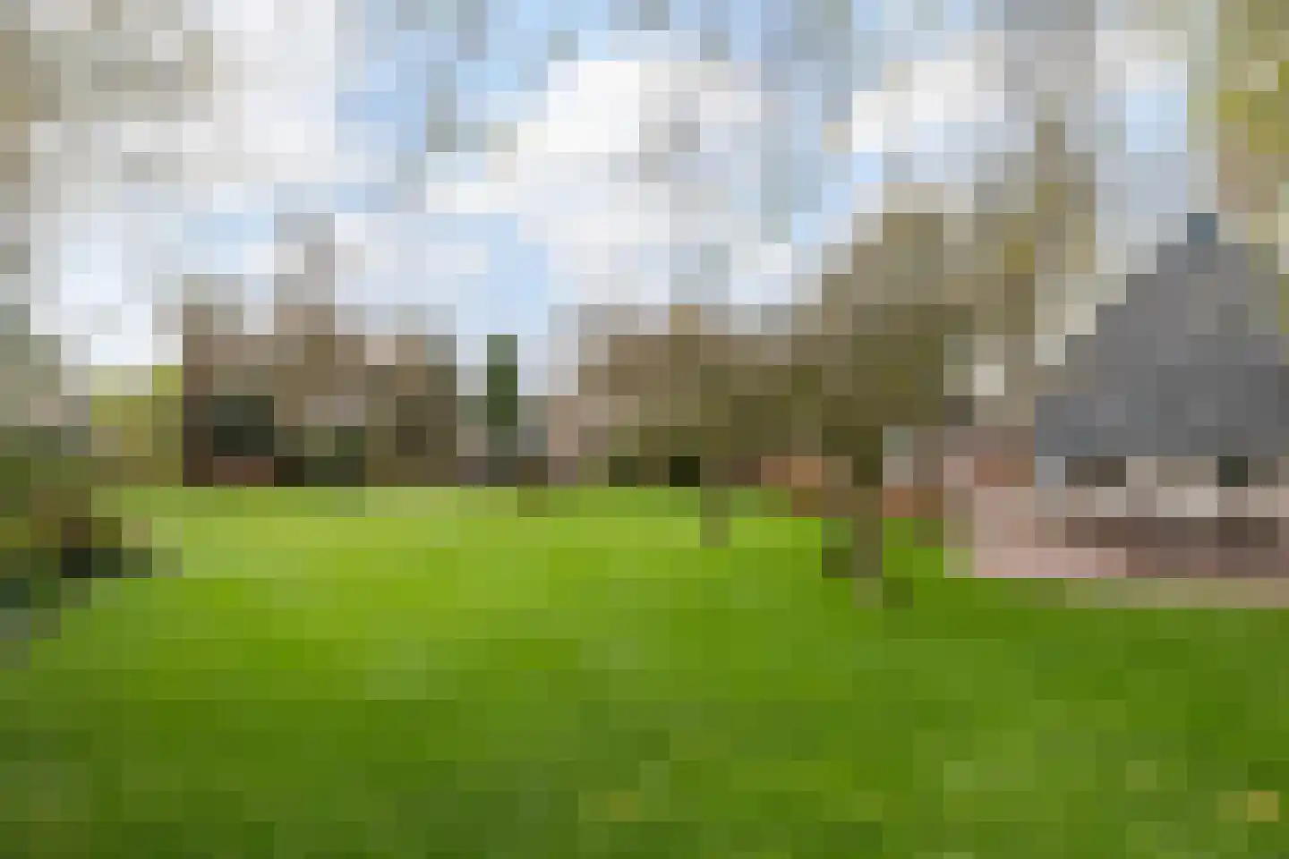 Dalerstraat 33 Erm thumbnail 8