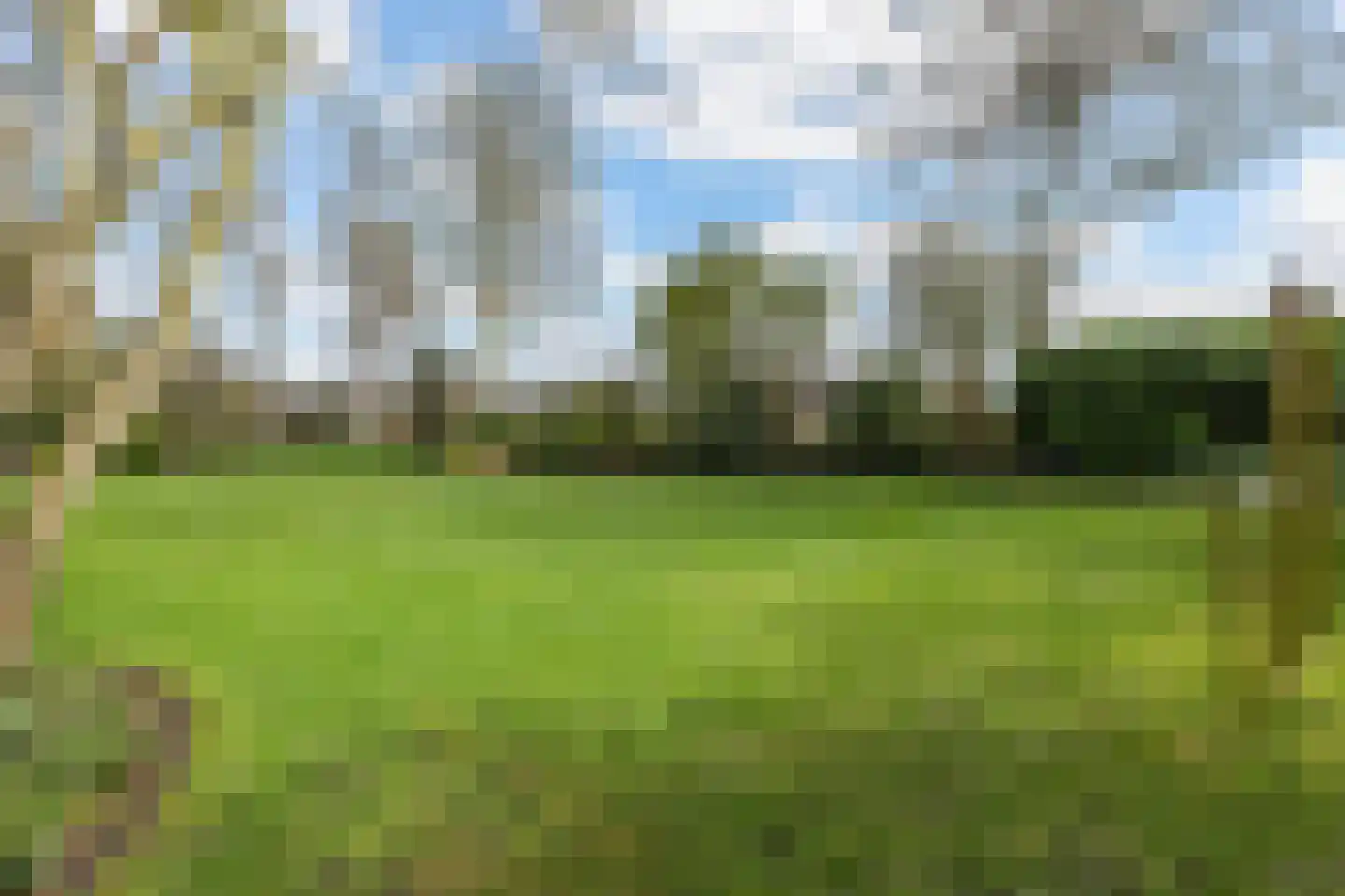 Dalerstraat 33 Erm thumbnail 81