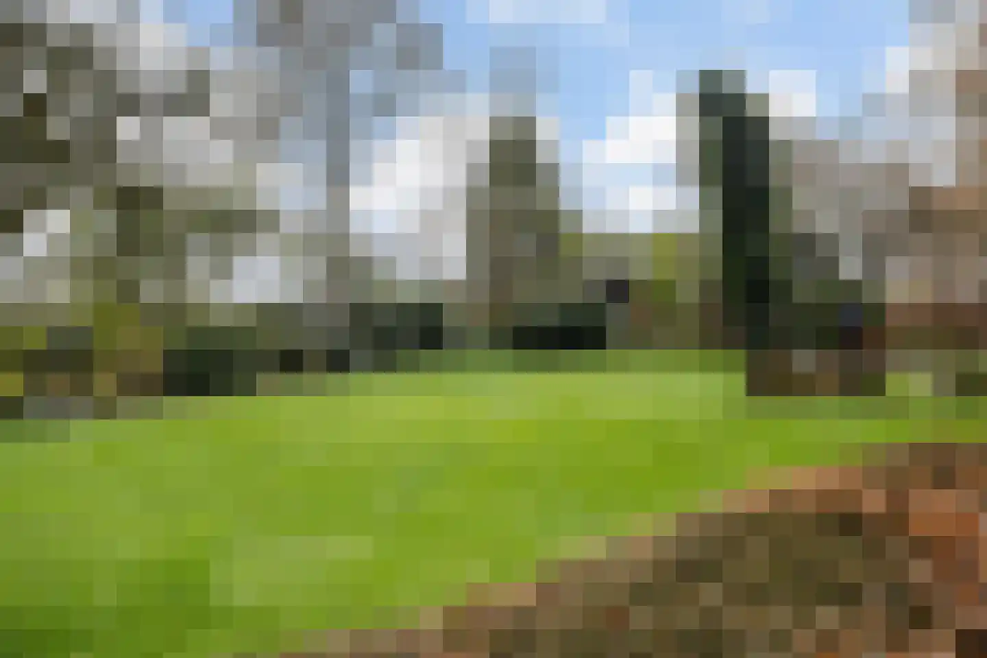 Dalerstraat 33 Erm thumbnail 83