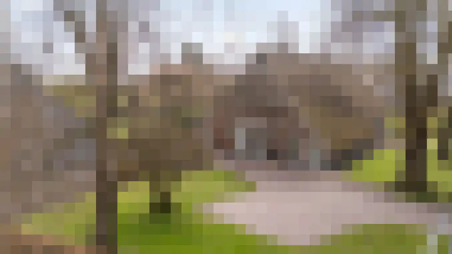 Dalerstraat 33 Erm thumbnail 88