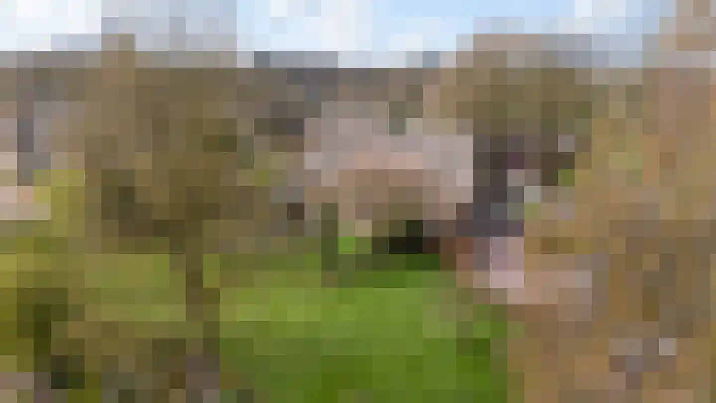 Dalerstraat 33 Erm thumbnail 89