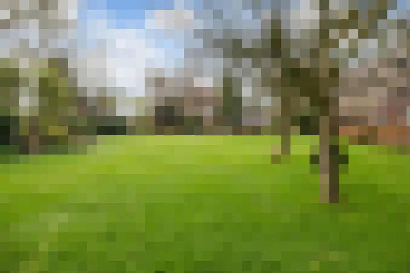 Dalerstraat 33 Erm thumbnail 9