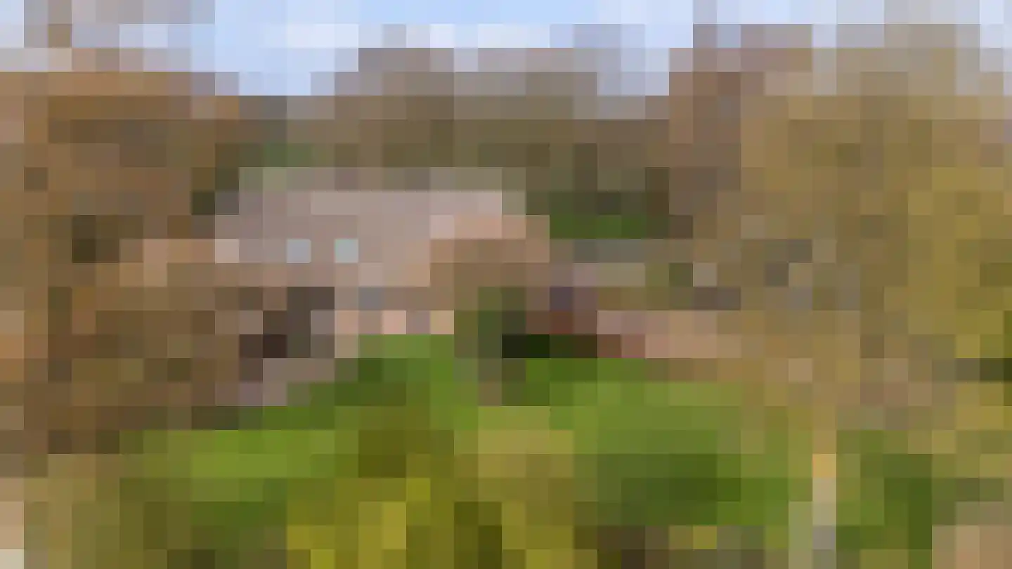 Dalerstraat 33 Erm thumbnail 90