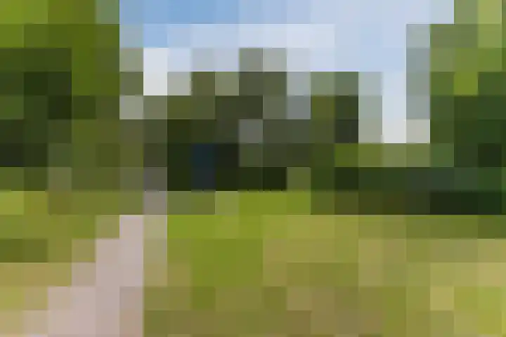 Dalerveen 14 Zaandam thumbnail 47