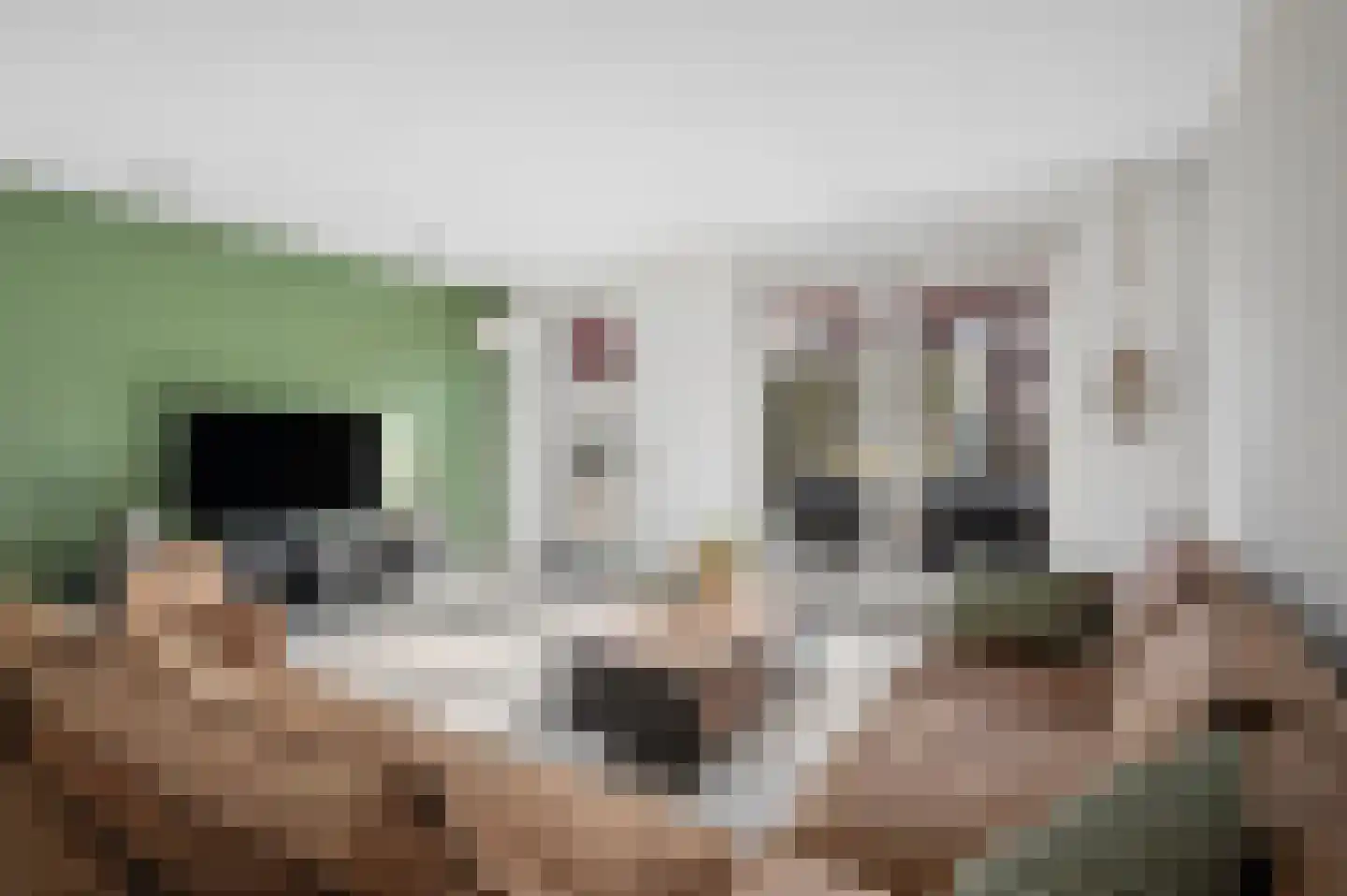 Dalerveen 21 Ede thumbnail 7