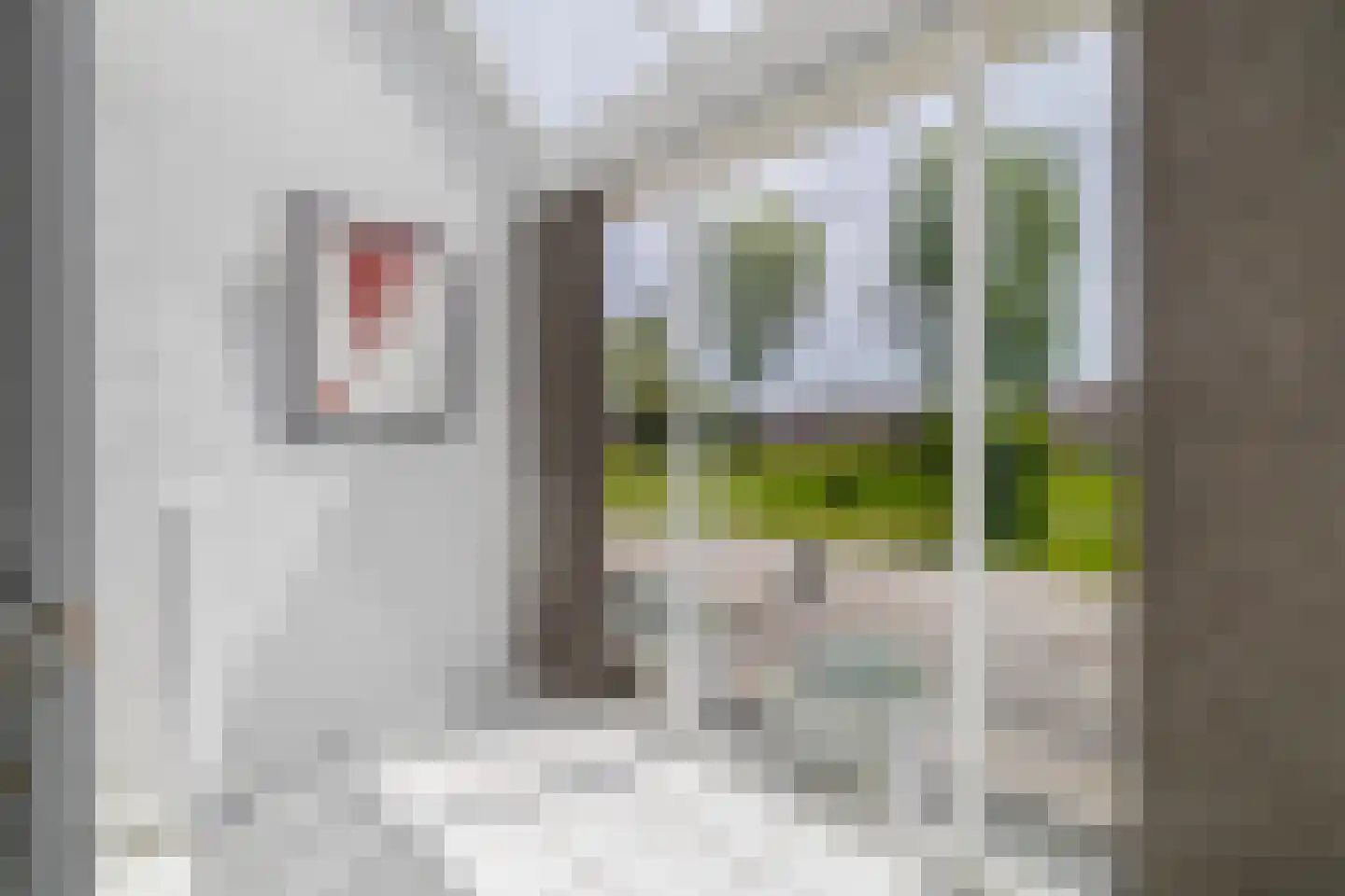 Dalerveen 26 Zaandam thumbnail 8