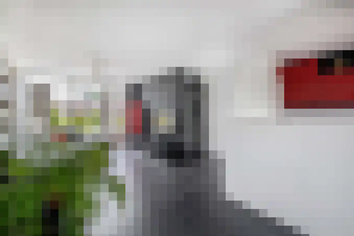 Dalerveen 26 Zaandam thumbnail 9
