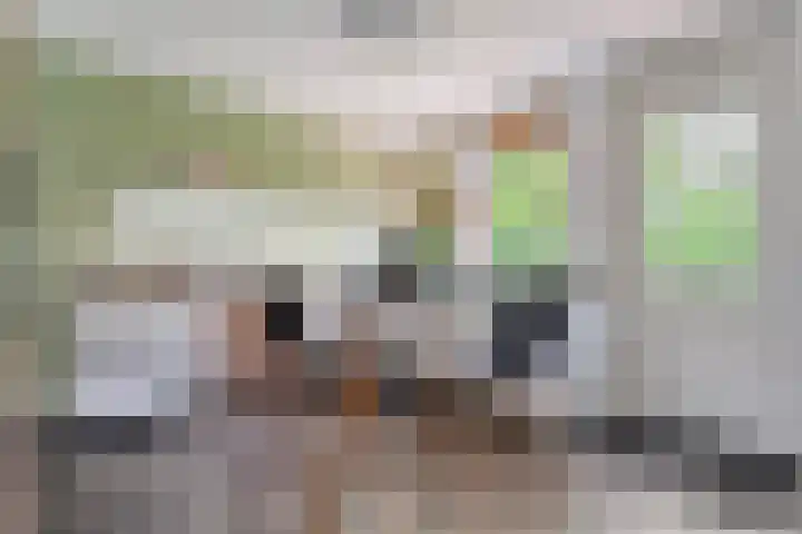 Dalerveensestraat 28 Dalen thumbnail 15