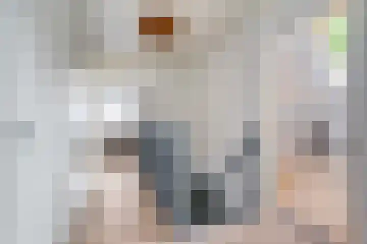 Dalerveensestraat 28 Dalen thumbnail 24