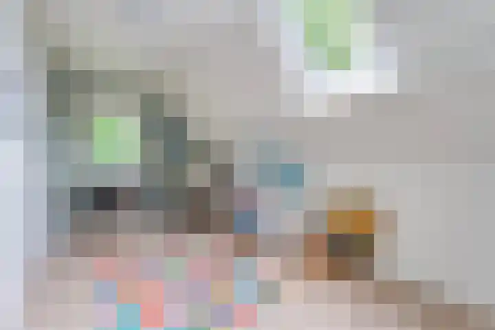 Dalerveensestraat 28 Dalen thumbnail 27
