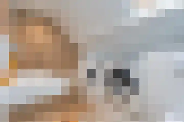 Dalerveensestraat 28 Dalen thumbnail 30